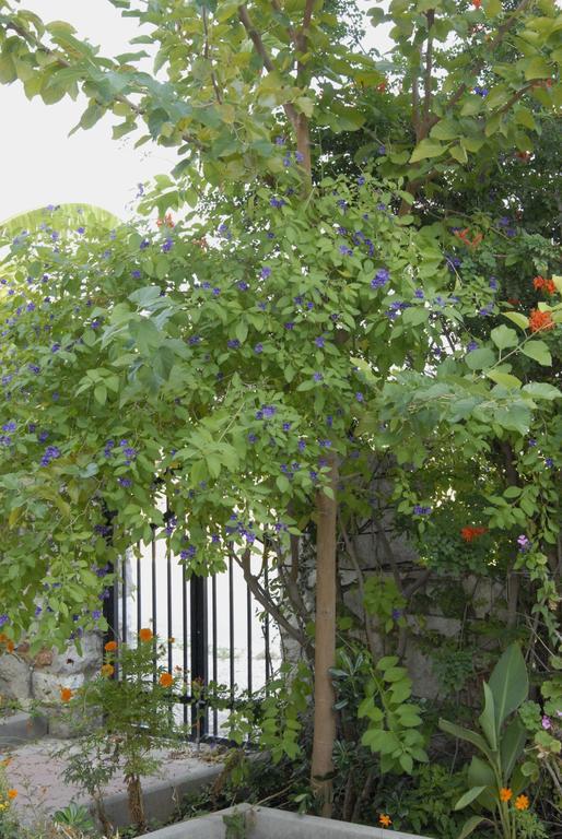 'Αγριοι Λιμένες Appartement Iria Buitenkant foto